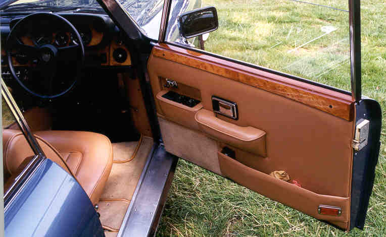 411 interior door detail with electric wing mirrors #2